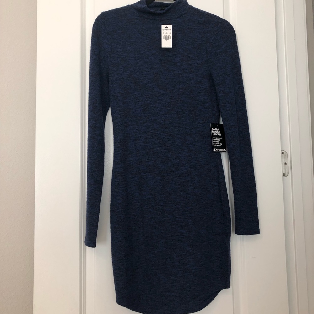 Express sweater dress